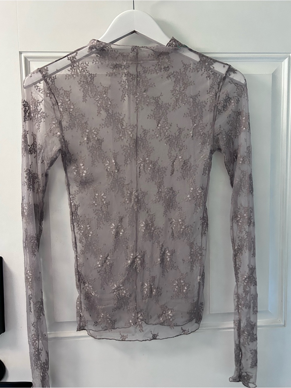 Free People Sheer Lace Sequin Long-Sleeve Top - Taupe